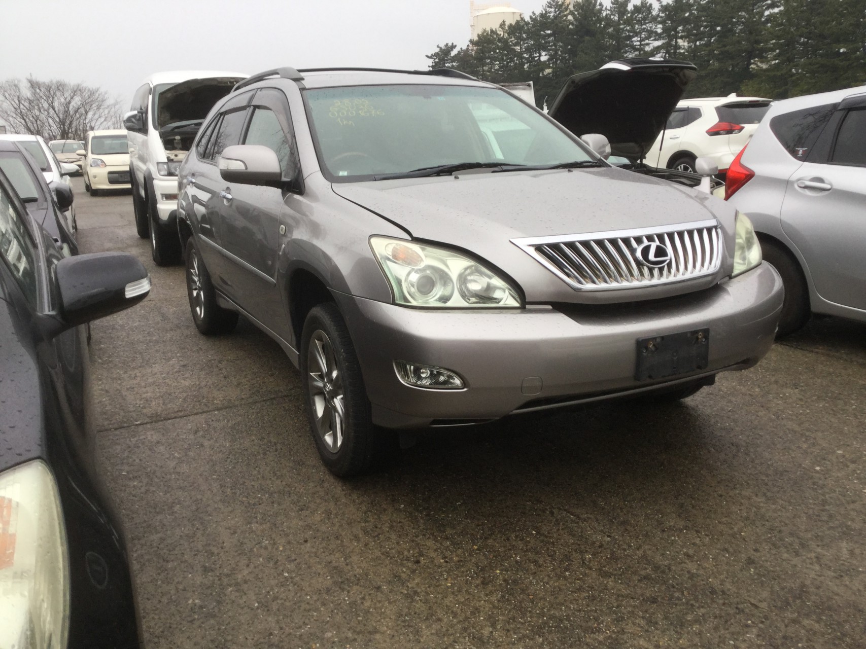 Ковровое покрытие LEXUS RX350 GSU36